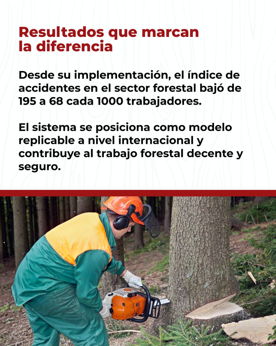🌳 Orgullo argentino: la FAO reconoció a AFoA con un premio mundial por su sistema de certificación de competencias laborales.

Una distinción que pone en valor el compromiso del sector forestal con la seguridad, la sostenibilidad y la innovación.

Nota: bit.ly/4hcq5bm