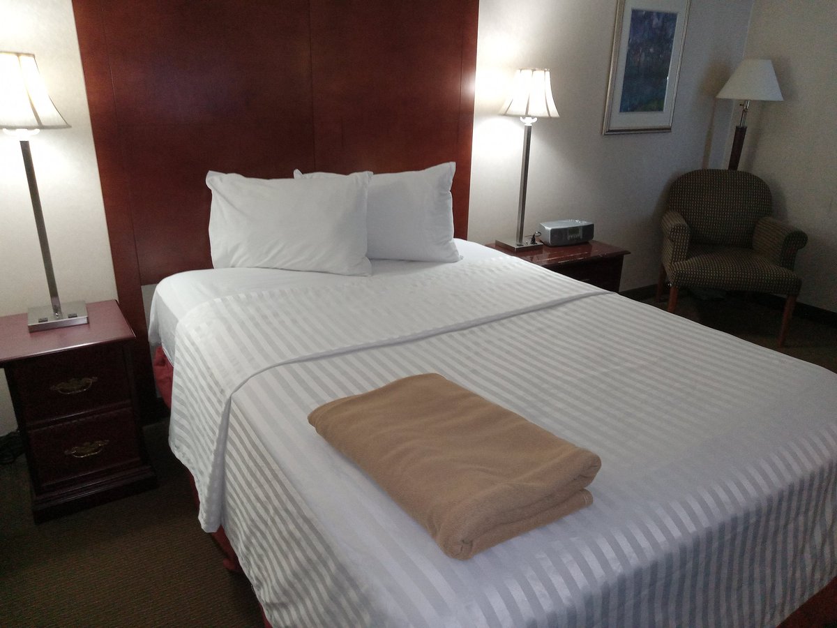 Happy Thanksgiving 🦃 Monday October 13 2025 my Richmond BC Hotel room. 
Tim Hortons for breakfast. Toronto Blue Jays ALCS baseball vs Seattle Mariners game 2 . Fuggles 4 Beer Food Snacks for the game. Vancouver Canucks at today. 😀🍔🧁🧃🥗🍺🍺🍺🍺⚾🥅🏒🦃