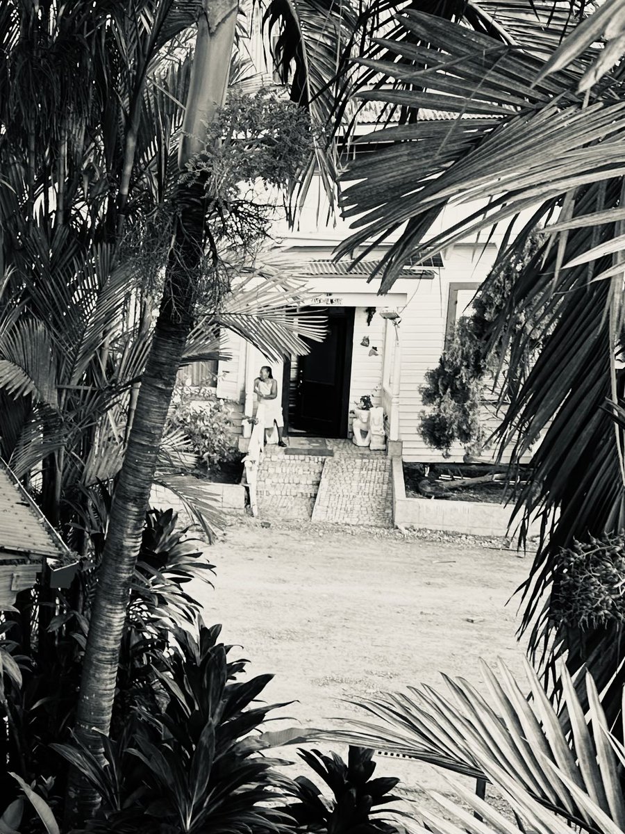 Sitting on porch framed by palm leaves. 🇵🇦