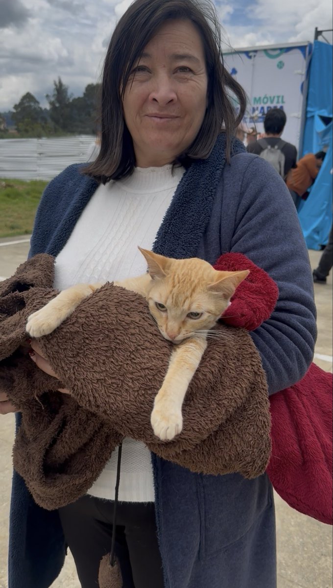 🐾🐶 Una jornada más de esterilizar animalitos, esta vez en Zipaquira. 🤝 fueron 70 cirugías que pueden cambiar el curso del bienestar animal en la región. 

Esterilizar es un acto de amor y responsabilidad 🙏