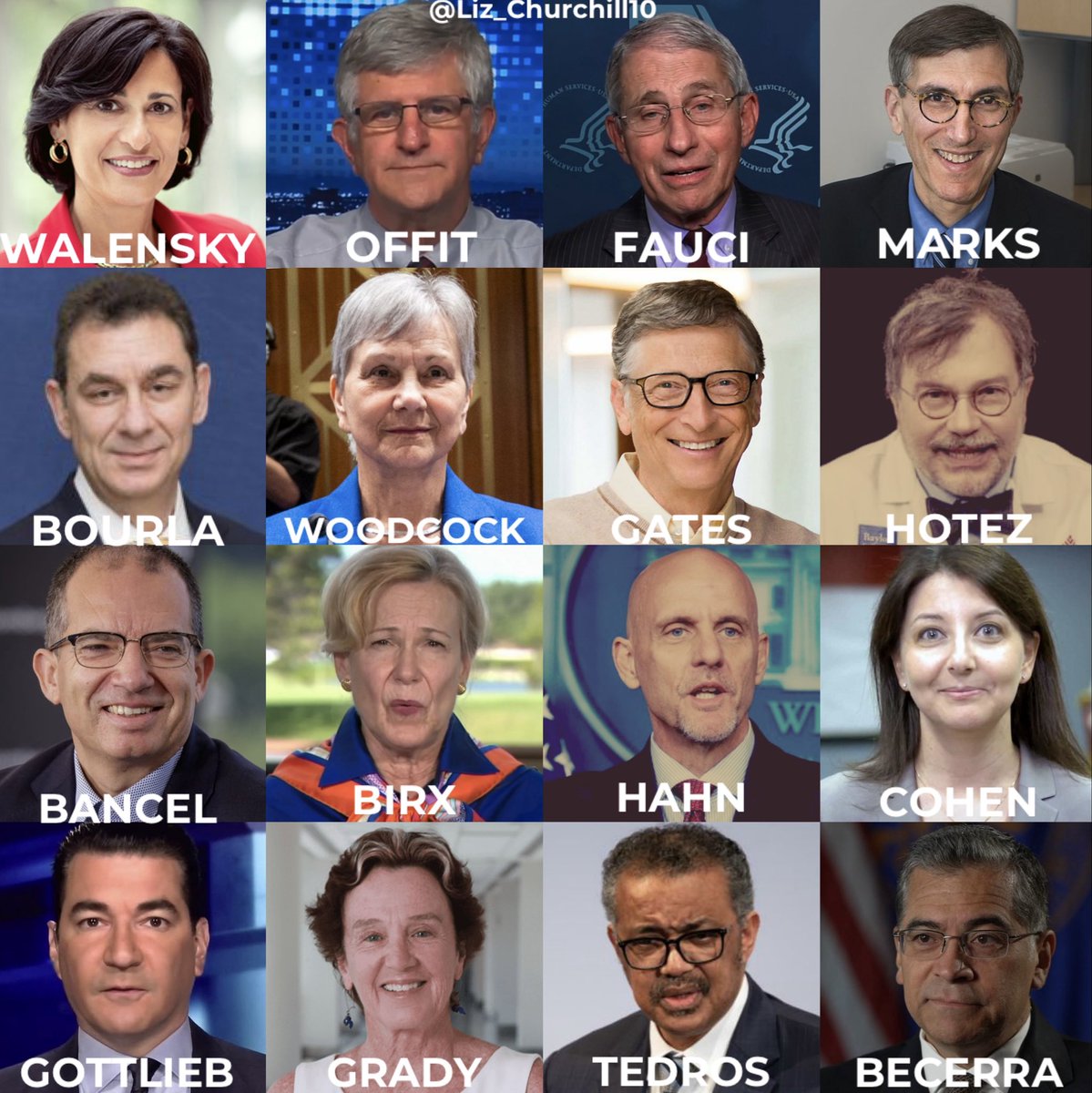 Grid arrangement of professional headshot photos of individuals including Rochelle Walensky in top left with glasses and dark hair, Peter Offit in top middle with glasses and gray hair, Anthony Fauci in top right with glasses and white hair, Peter Marks in second row right with glasses and gray hair, Albert Bourla in third row left with glasses and dark hair, Janet Woodcock in third row middle with gray hair, Bill Gates in third row right bald with glasses, Peter Hotez in fourth row right with glasses and gray hair, Scott Gottlieb in bottom left with glasses and dark hair, Monica Gandhi in bottom second left with dark hair, Stephen Hahn in bottom second middle with glasses and gray hair, Rochelle Cohen in bottom second right with dark hair, Jeffrey Gottlieb in bottom third left wait no duplicate, Ashish Jha in bottom third middle with glasses and dark hair, Tedros Adhanom in bottom third right with glasses and gray hair, Xavier Becerra in bottom right with glasses and gray hair, all dressed in formal attire against plain backgrounds.