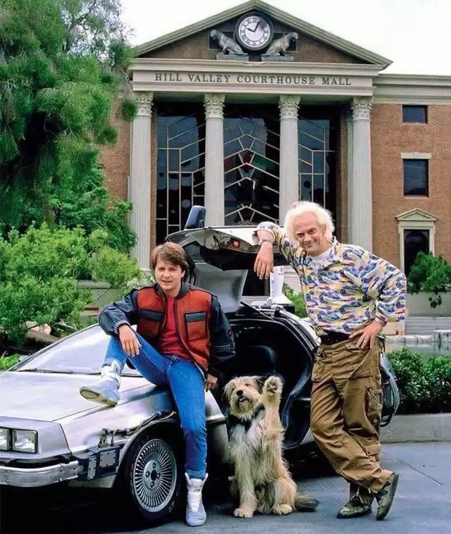 TheCinesthetic's tweet image. Marty, Doc, and Einstein, 1989