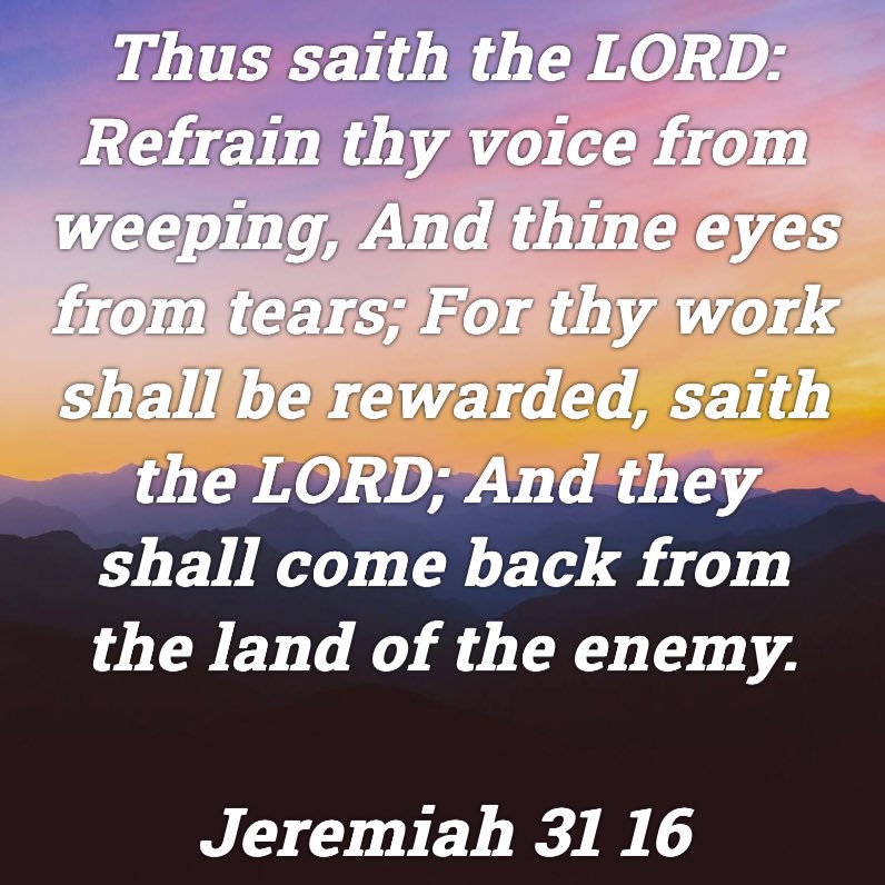 SusanLi777's tweet photo. Welcome home Israeli hostages! It’s a victorious day of almighty God! https://t.co/eWNIdWvY2E https://t.co/Q2wwblDgEC