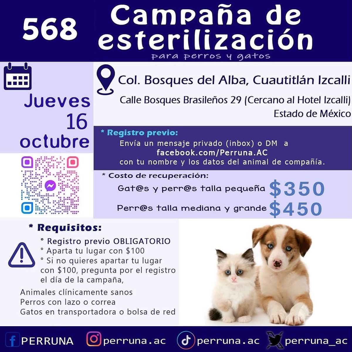 perruna_ac's tweet photo. Campaña de esterilización a bajo costo 

IMPORTANTE: Se atenderá ÚNICAMENTE con REGISTRO PREVIO.

#CuautitlanIzcalli #EdoMex 

#esteriliza #vacuna #desparasita https://t.co/zkEhpEhfj4