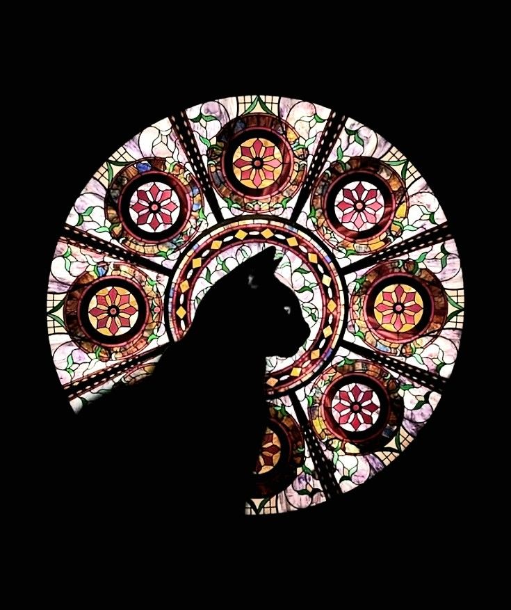blackdreamvibes's tweet image.