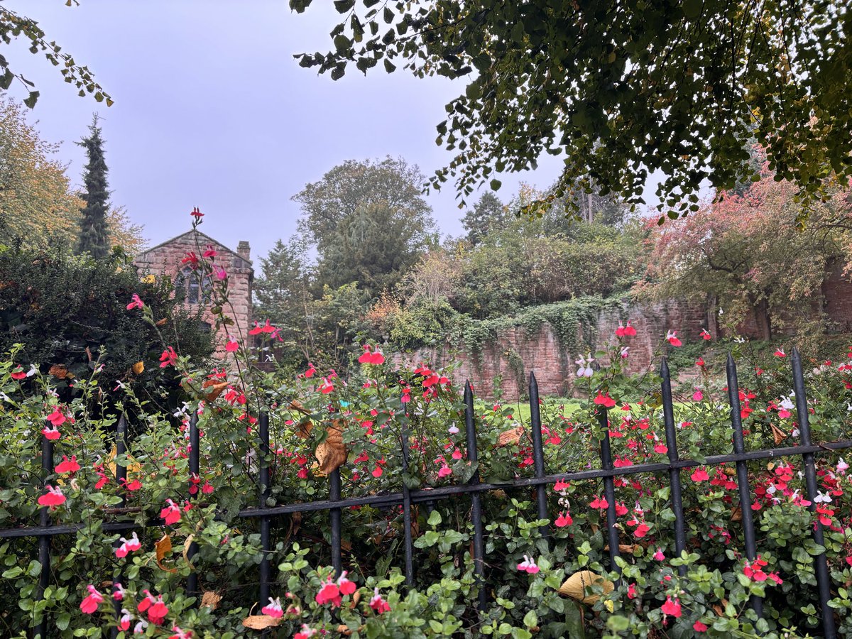 The Taste of Chester Food Experience tweet media