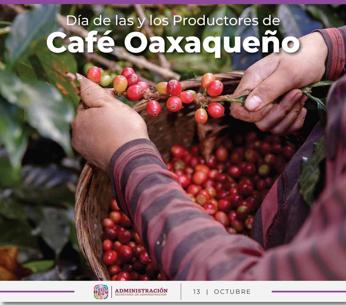 📌Hoy 13 de octubre, celebramos a las y los Productores de Café Oaxaqueño, que con dedicación y orgullo preservan una tradición que da sabor, historia y aroma a nuestra tierra. ☕