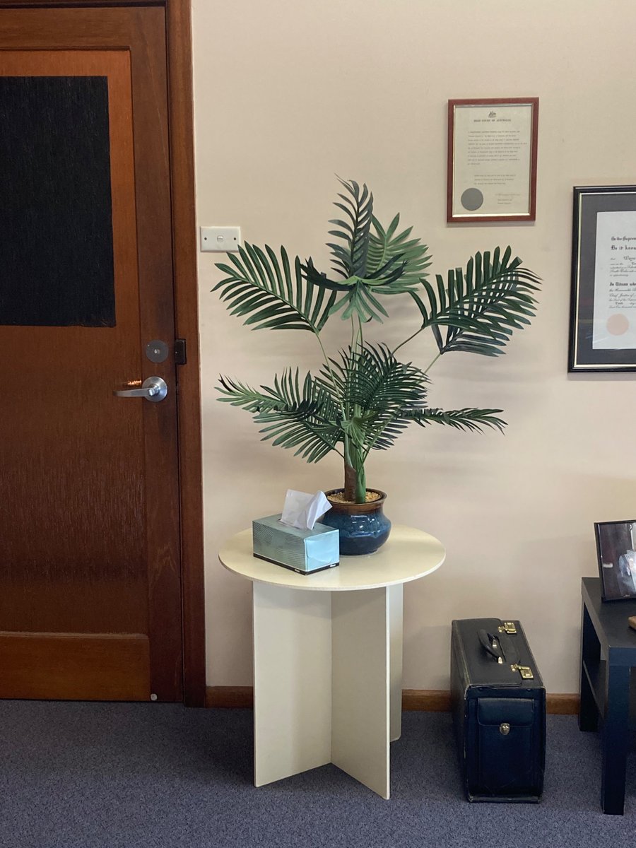 Any gardener peeps out there. How often do you water artificial indoor plants?
