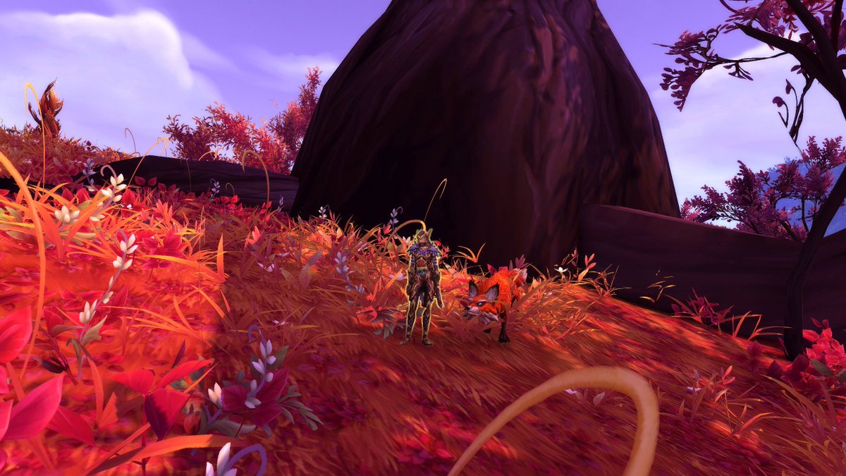 he has come home at last... 🥺