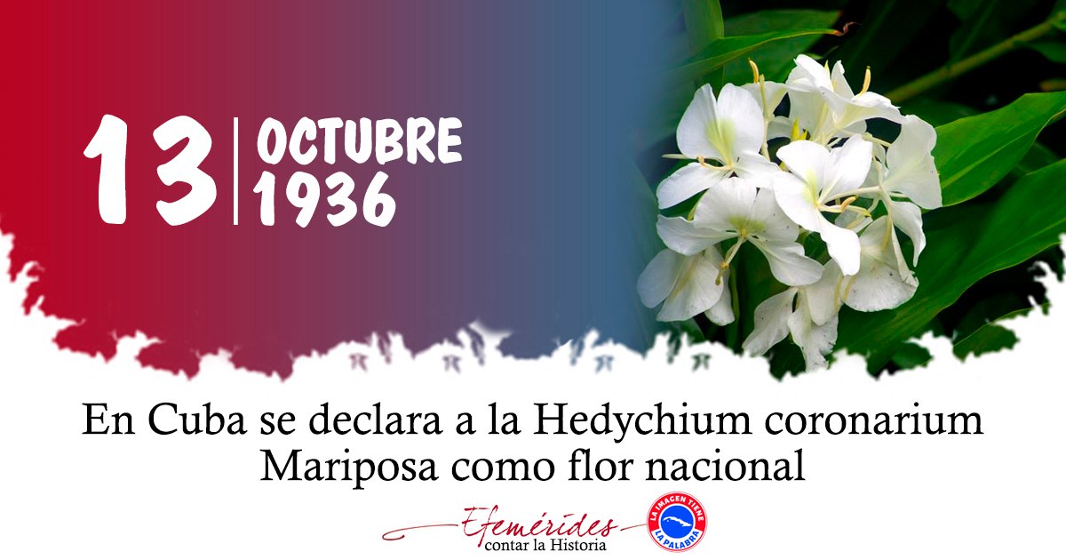 13 de Octubre de 1936 se declara a la Mariposa como flor nacional de #Cuba
#ANAPCuba