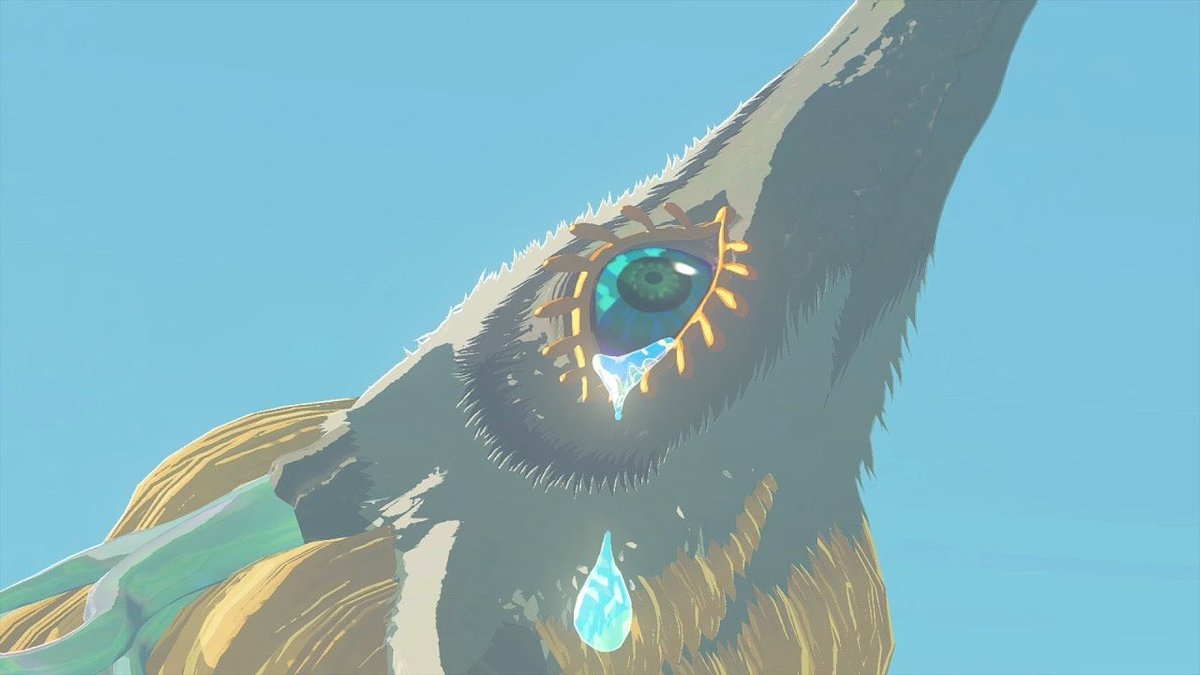StudiousZelda's tweet photo. —@SkillfulHylian https://t.co/UIyjekeWuU