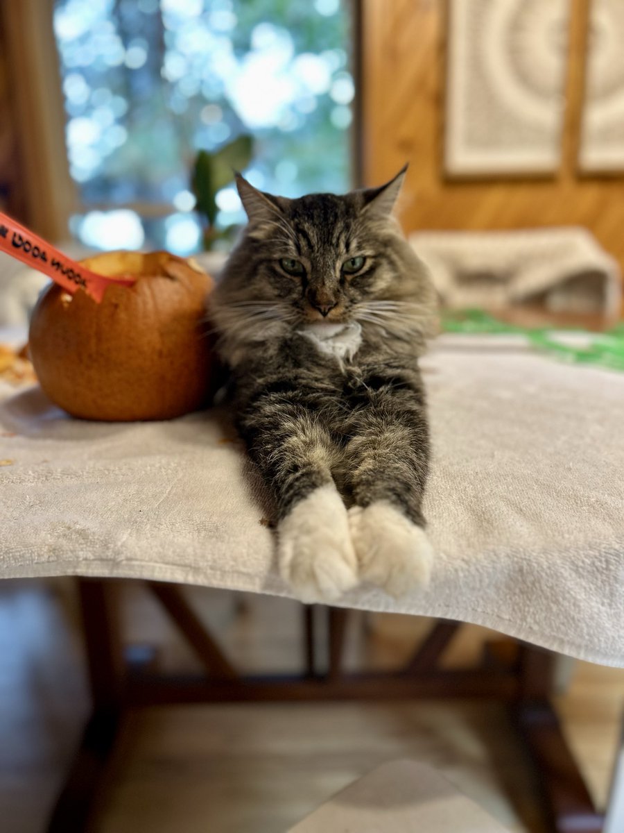 Doug Adams tweet media