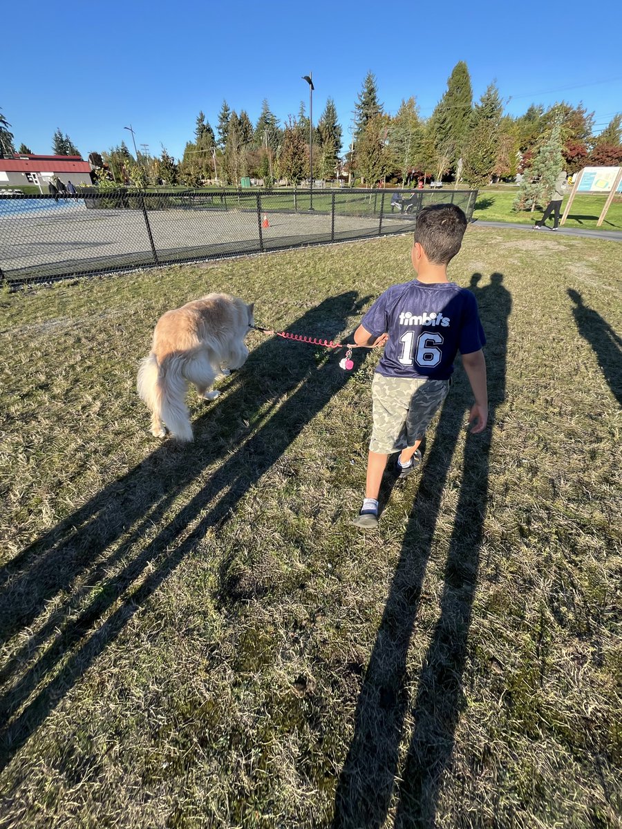 Kiddies needed to come and pet me and then wanted to walk me.
