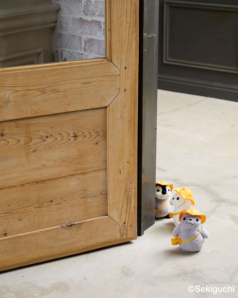 🦭🐻‍❄️🐧💛 #セキグチ #新商品