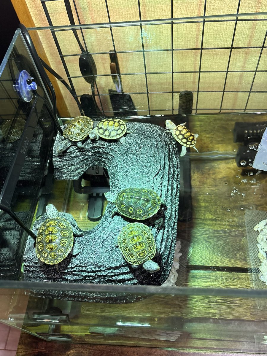 陸場が人気集中の時もある！！