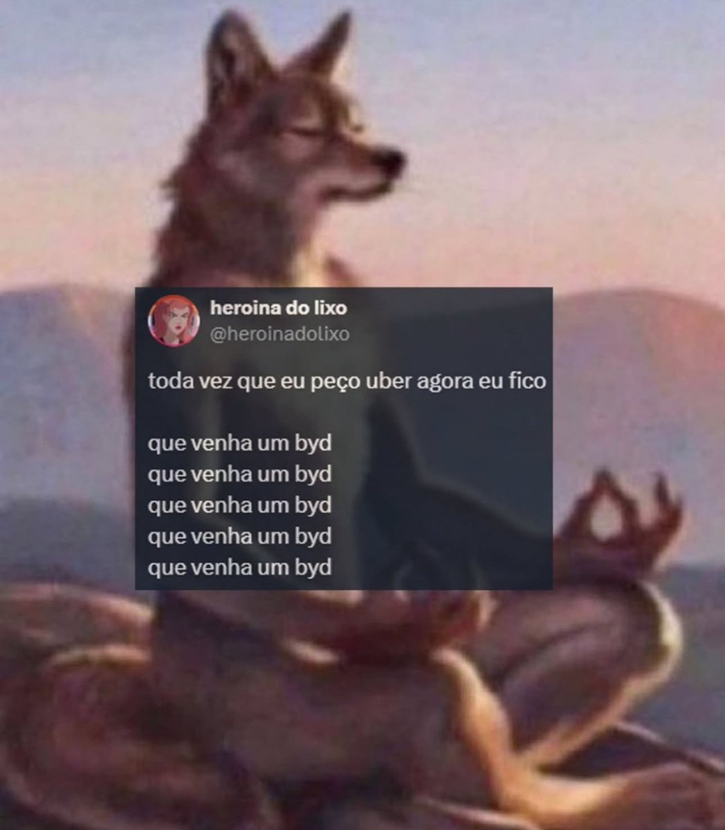 shitpostverdade's tweet image. 