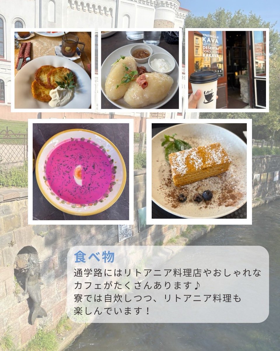 🍽️食べ物
🇱🇹には様々なジャガイモ料理があり、パンケーキにしたり、挽肉を包んだりします
🥔は1kg100円ほどで自炊にも必須！
ピンク色のボルシチもやはりジャガイモと一緒に食べます😋

ハチミツも有名で、それらを使ったケーキやお酒も🍯
さらに水資源が豊富で、硬水ではありますが水道水は飲めます！