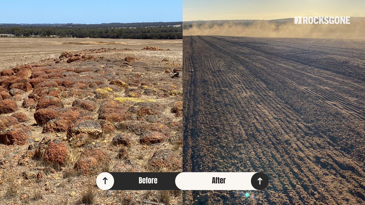 From rocky country to productive farmland 🌱
Each Reefinated paddock adds real value - boosting crop and pasture production, supporting local economies, and improving the environment.
Less runoff. Healthier soils. More life returning to the land.
#Reefinator #SustainableFarming