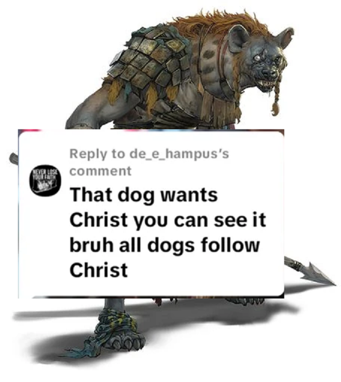 Bird Friend tweet media