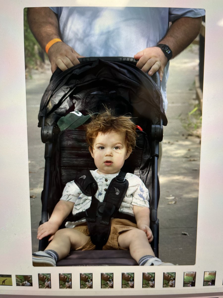 Joel Maresh Ed.D. tweet media