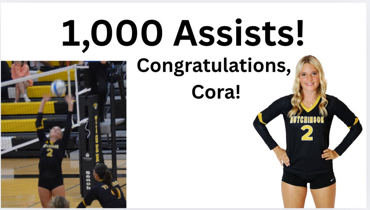 Hutch Tiger VB tweet media