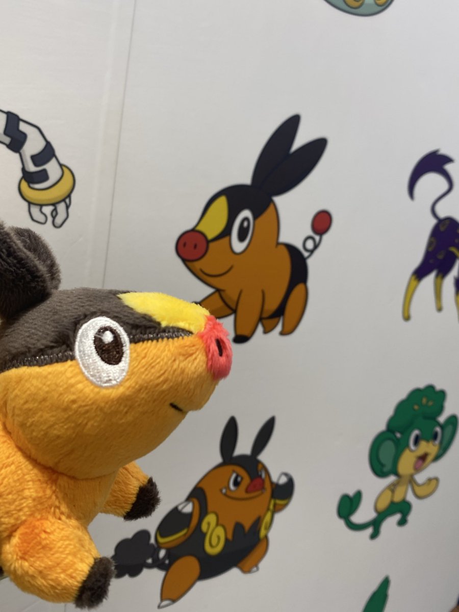 mnu_o15's tweet photo. もちろんポカブ🔥
#ポケモンレジェンズZA_この１匹と旅に出る https://t.co/0L3df9UEvz