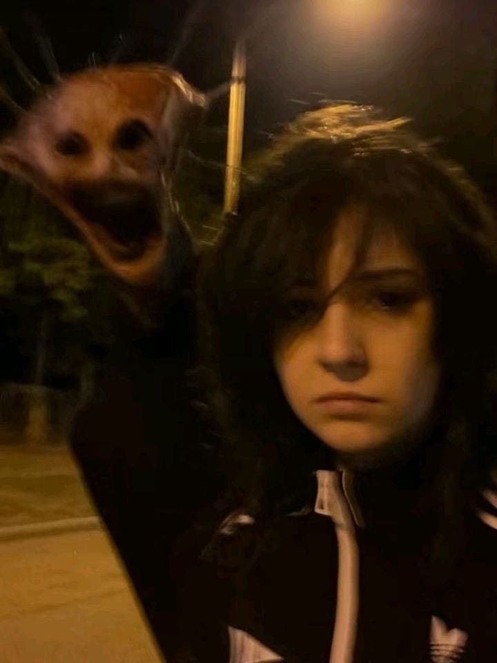 🕐HOURLY🕑 shitpost (@hourly_shitpost) on Twitter photo 