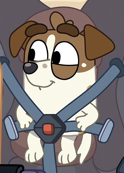 TheCoolStella's tweet photo. Lulu Russell is so adorable and cute fr!

#Bluey https://t.co/Cdcc2oZqfK