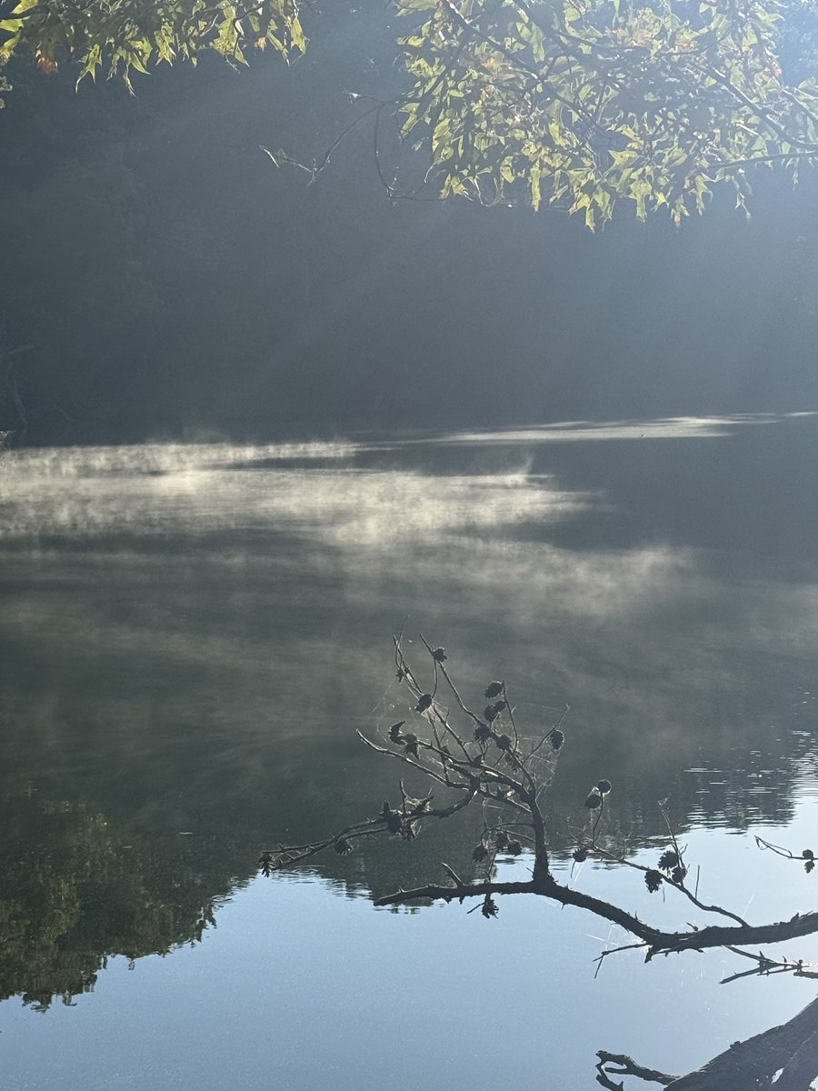 SamFlo16's tweet image. Early morning hike with the bestie! 
#Tennessee #hiking #scenery #earlymorninggrind #BestFriend