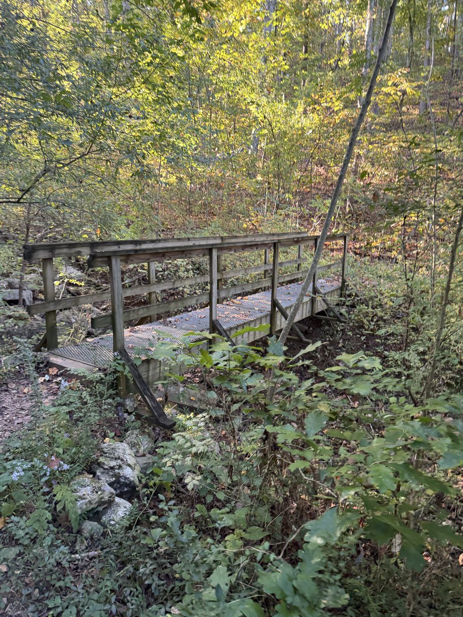 SamFlo16's tweet image. Early morning hike with the bestie! 
#Tennessee #hiking #scenery #earlymorninggrind #BestFriend