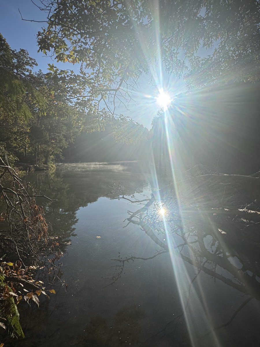 SamFlo16's tweet image. Early morning hike with the bestie! 
#Tennessee #hiking #scenery #earlymorninggrind #BestFriend