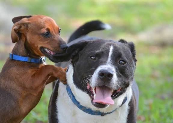 Tony Kulbida tweet media