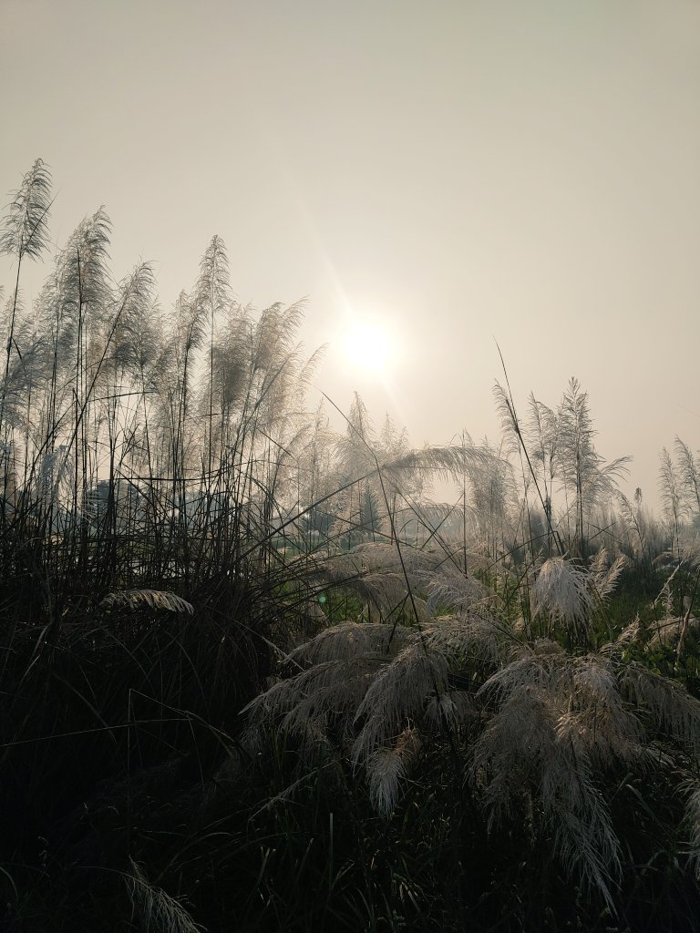 RamanRjha4647's tweet image. Good morning Devs..Happy Tuesday 🤗 🌿
With every sunrise comes a clean breakthrough ☀️🌻
#GoodMorning
#TuesdayFeeling
#developers