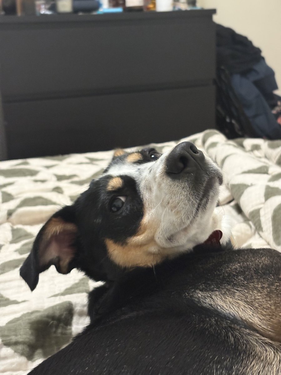 record scratch “so I guess you’re wondering how I ended up here” haha lol rofl