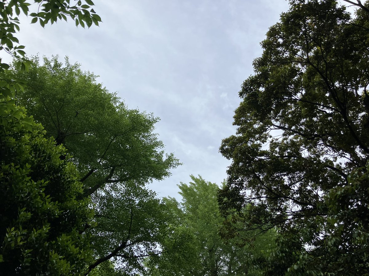 おはようございます！RD LINKです。
銀座はくもり🌥️

昨日で大阪万博が閉幕しましたね。
会場の熱気や各国の多彩な展示が印象的でした🌍

連休明けの火曜日、
今週も頑張りましょう💪
#企業公式が毎朝地元の天気を言い合う
#企業公式が朝の挨拶を言い合う