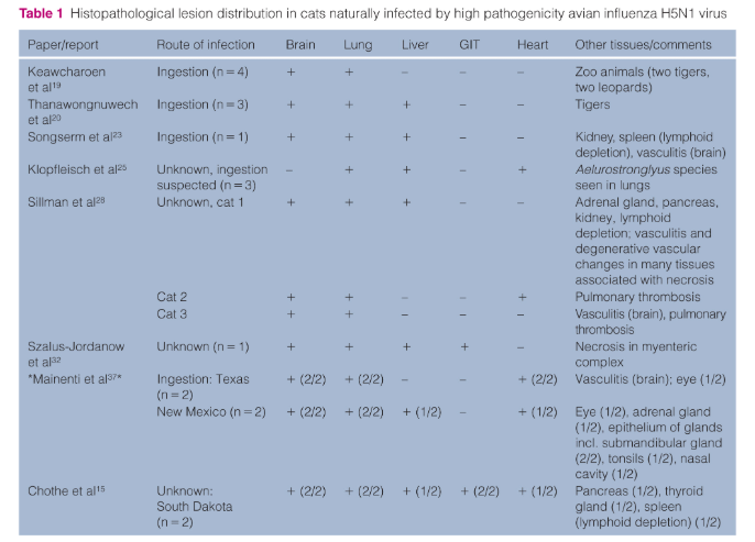 DuckSwabber's tweet photo. Review of HPAI in cats: epidemiology, clinical and pathological presentations and management, and a current perspective on risk, testing and strategies to prevent infection
👉https://t.co/fJAKMIY7jQ https://t.co/fWUN2Ohf8T