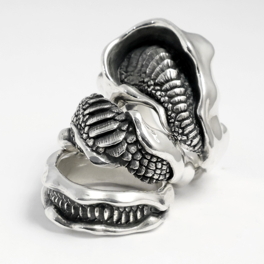 2ブロ構築　トリーヴァゴルギーオージャー　カンツォーネシク Dualflow 鳳凰 bangle phoenix feather pendant phoenix pendant