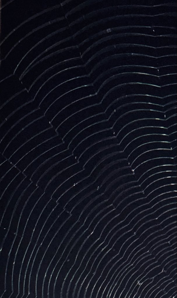 sleepydude tweet media