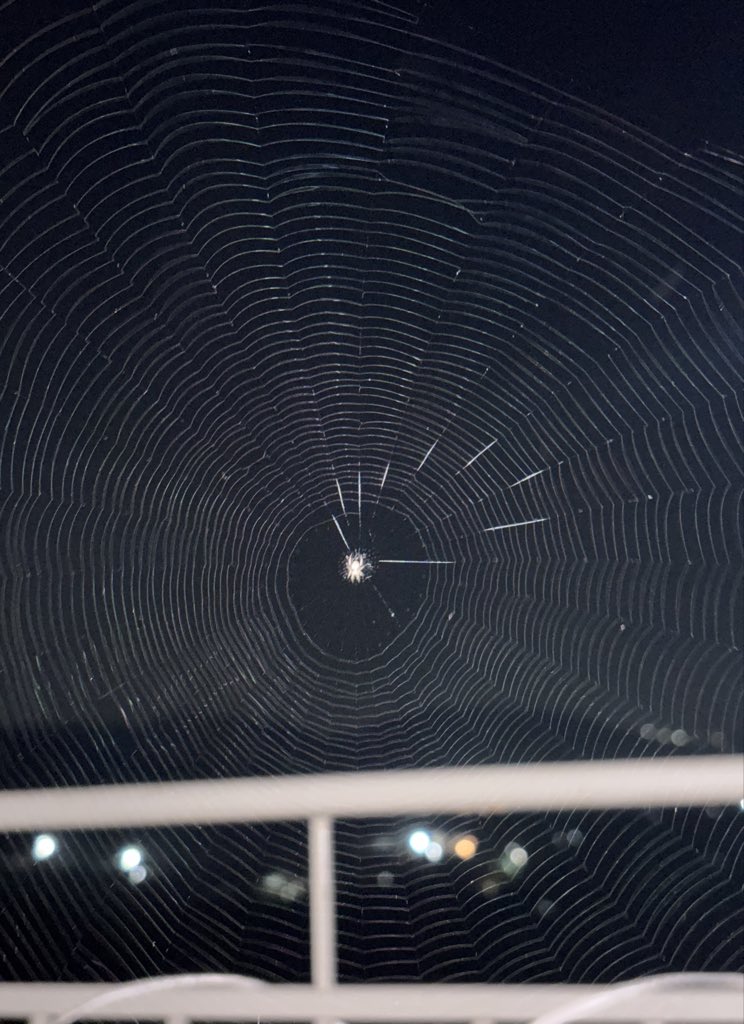 sleepydude tweet media