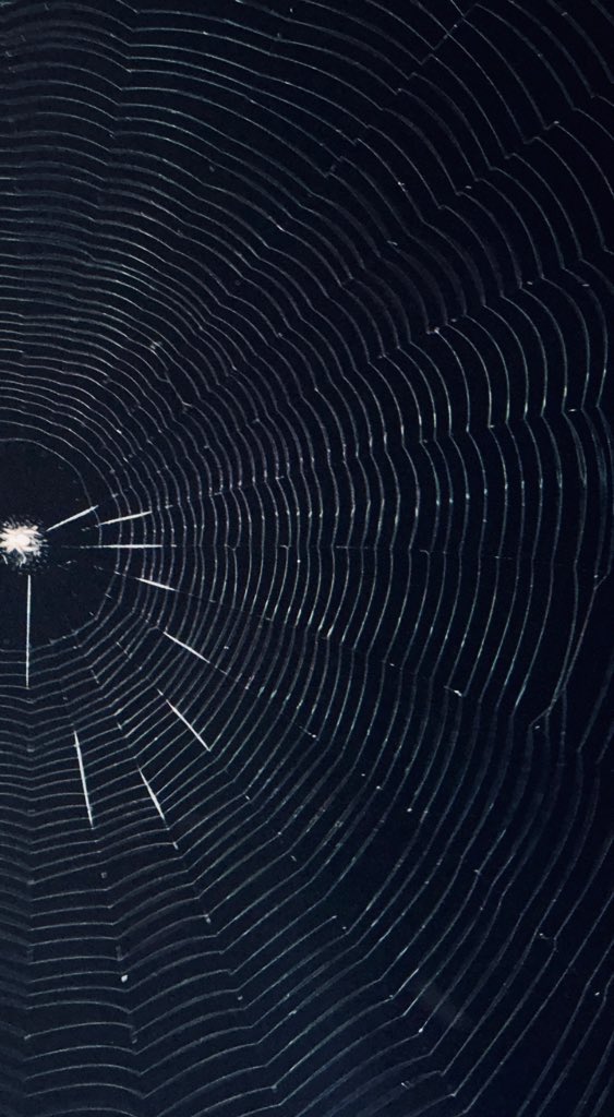 sleepydude tweet media