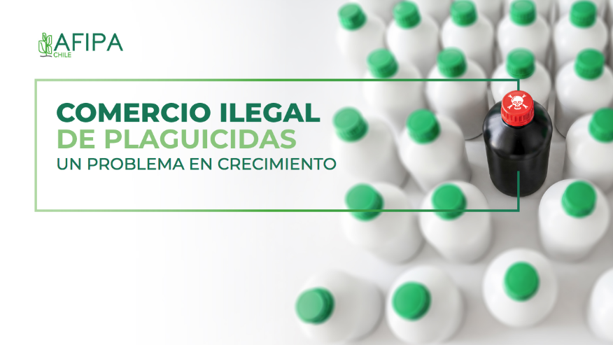 afipachile's tweet photo. ¿Sabías que el comercio ilegal de plaguicidas pone en riesgo nuestra agricultura?
En #AFIPA creemos que una agricultura segura parte por informarse
En este artículo te contamos cómo detectar un producto ilegal y qué medidas tomar para proteger tu cultivo https://t.co/NEF3KZ55Kr https://t.co/rE4pT1PRTF