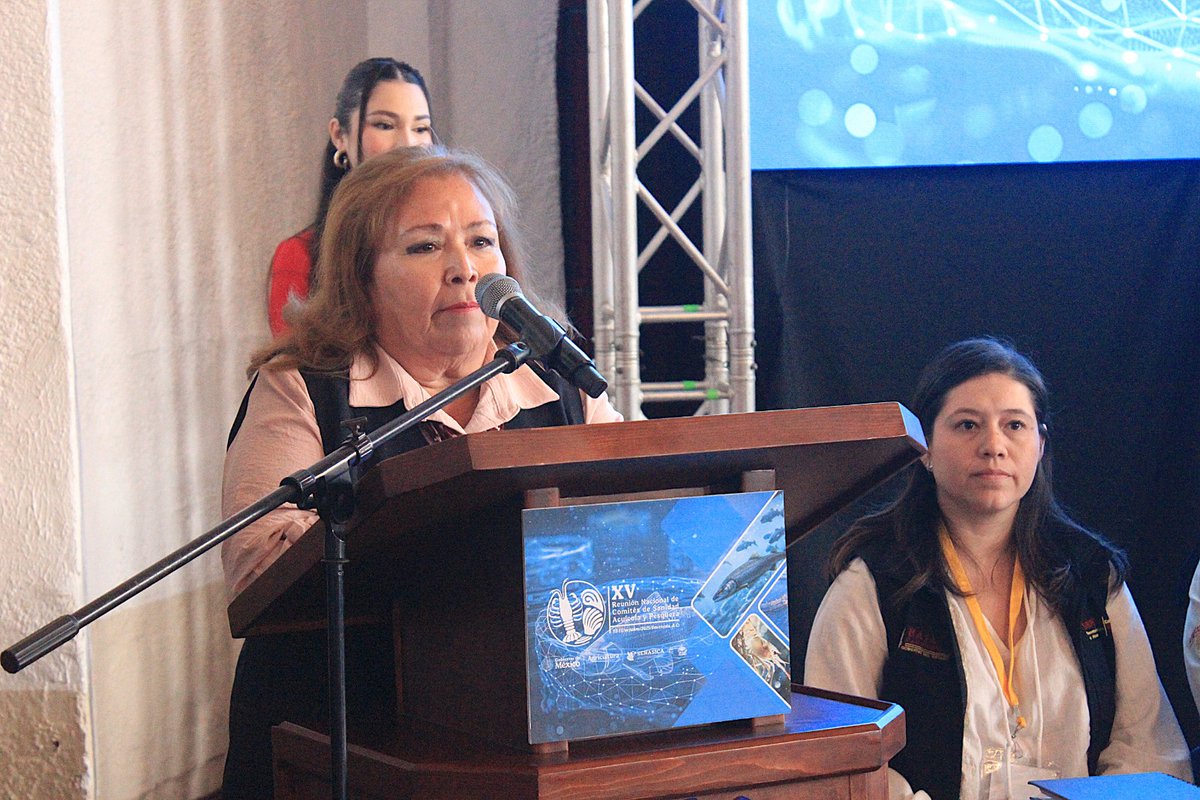 La certificación de plantas, la clasificación de aguas, y la sanidad e inocuidad de los procesos, favorece la exportación de productos marinos a más de 48 países, destacó la titular de la  SEPESCA BC, Alma Rosa García Juárez.

Más información aquí 👇
bajacalifornia.gob.mx/Prensa/Noticia…