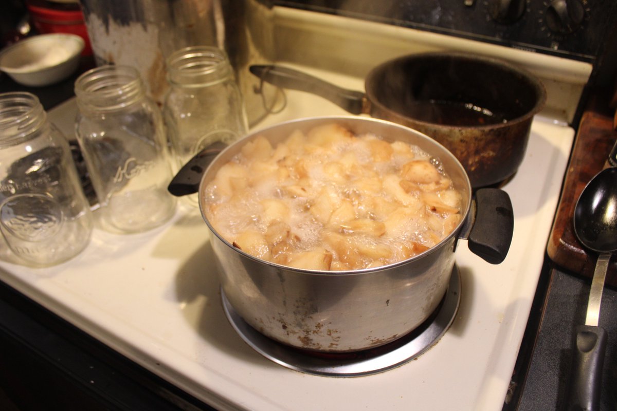 docsanderson's tweet image. #Scientists #Chemistry #Food #SustainableLiving #Buddies #Spouses @NatGeo @danpeckwx @Ginger_Zee @Nature G Maggie you two are BOTH Ultra Stubborn & Need more Rest i took my own advice & #Relax 'd by #canning #pears i got 1gal & 1pt & made room in Fridge I love you Mwah on you Lee