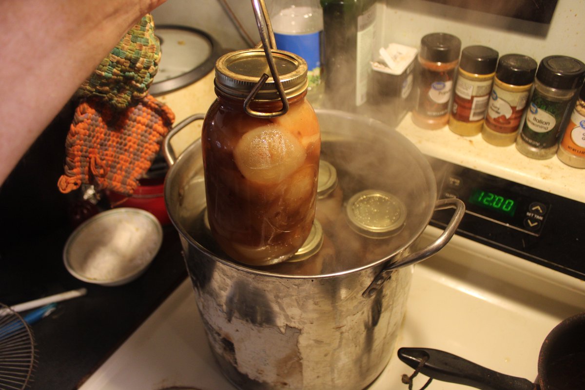 docsanderson's tweet image. #Scientists #Chemistry #Food #SustainableLiving #Buddies #Spouses @NatGeo @danpeckwx @Ginger_Zee @Nature G Maggie you two are BOTH Ultra Stubborn & Need more Rest i took my own advice & #Relax 'd by #canning #pears i got 1gal & 1pt & made room in Fridge I love you Mwah on you Lee