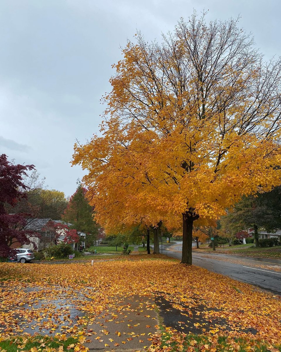 nicolesylvie's tweet image. Nature shots from the past #nature #natureheals #natureinspires #natureshots