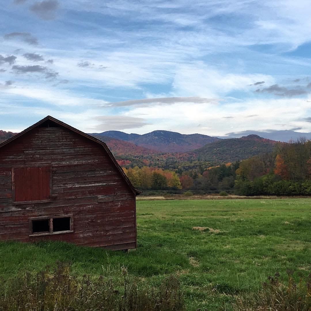 nicolesylvie's tweet image. Nature shots from the past #nature #natureheals #natureinspires #natureshots
