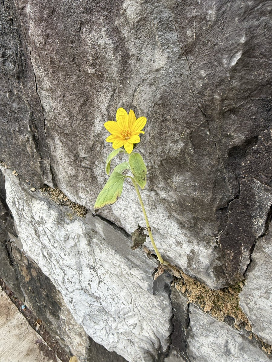 nicolesylvie's tweet image. Nature shots from the past #nature #natureheals #natureinspires #natureshots