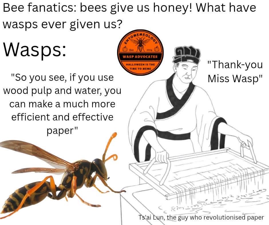 Wasps have done a lot for us actually