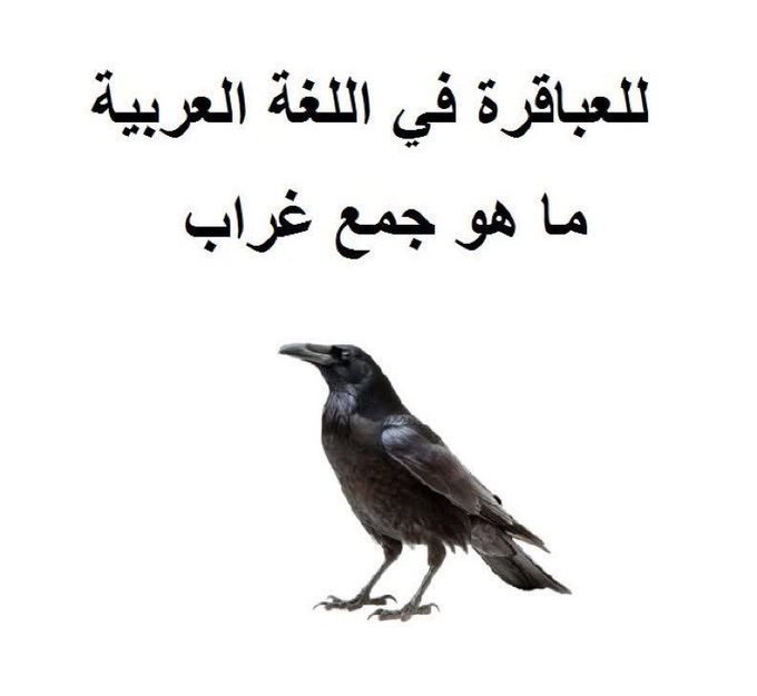 ما هو جمع غراب ؟ ٰ 