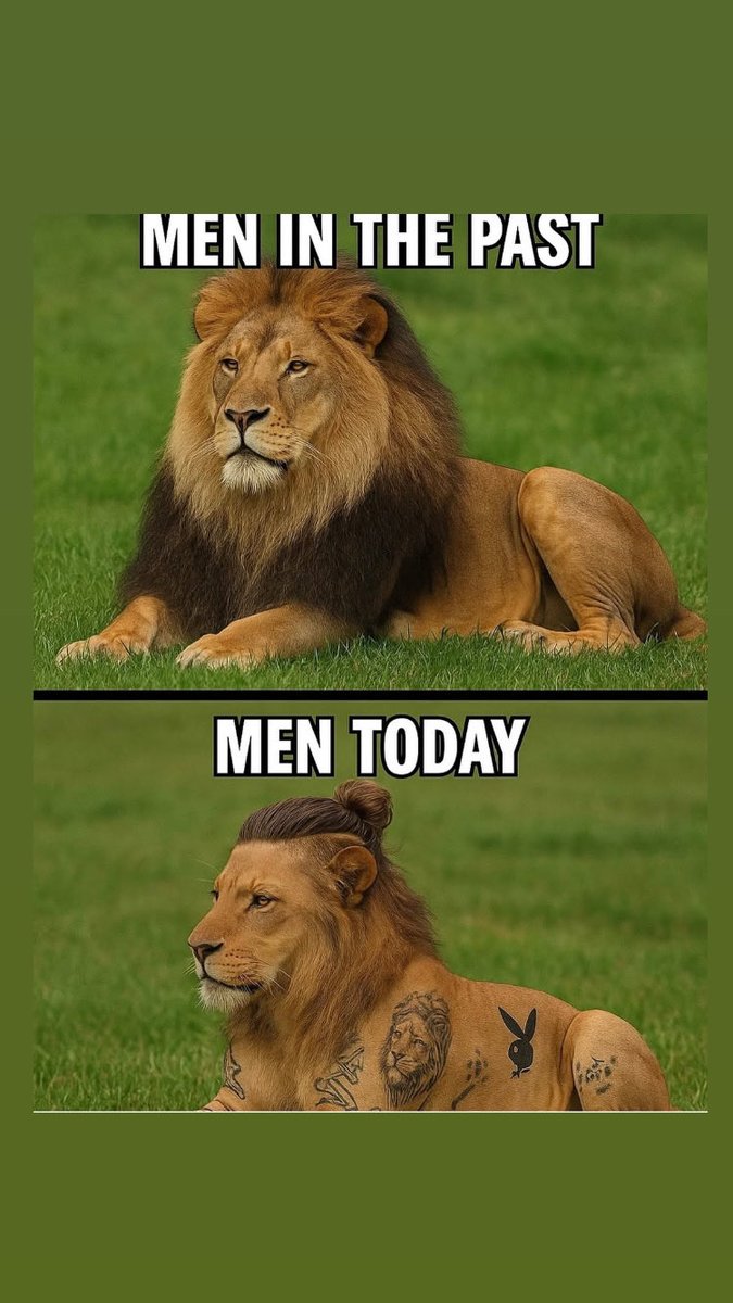 cipcapcupz's tweet photo. From jungle king to modern trend! 👑😂 #MenThenVsNow #LionStyle https://t.co/FzE3JqmJAS